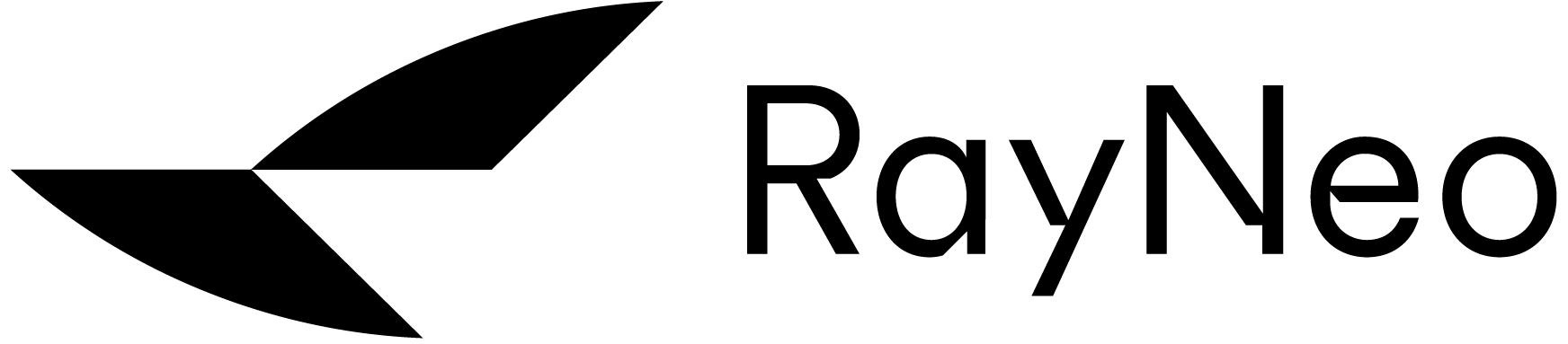 RayNeo